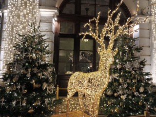 Видновчанам рассказали как выбрать безопасную гирлянду для украшения дома и улицы