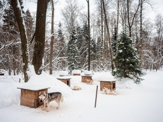 Подмосковье все еще ждет зиму: потепление продлится, но морозы уже на подходе
