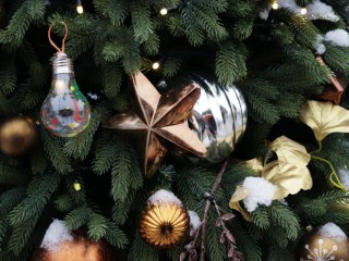 Приметы и лунный календарь: когда ставить новогоднюю елку в декабре 2025 — удачные и неудачные дни