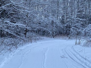 Снежные трассы Шаховской начали принимать первых лыжников