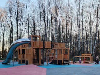 Спасатели из Электростали за неделю более 30 раз выезжали в рейды