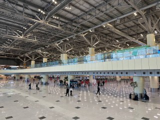 В Домодедово задержано 69 рейсов: организованы пункты выдачи напитков и горячего питания