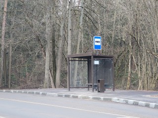 Лихач в Пушкино снес остановку: новую пообещали установить за неделю