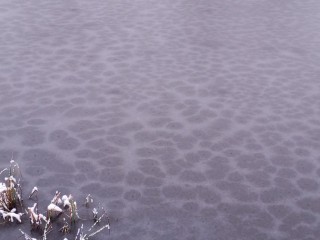 Снег с дождем ружанам пообещали уже в ближайший вторник