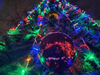 Елка на Красной Поляне засияла разноцветными огнями гирлянд