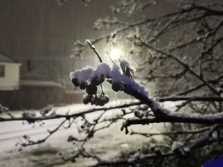 Подморозит и засыплет: приход зимы ружанам пообещали на 24 декабря