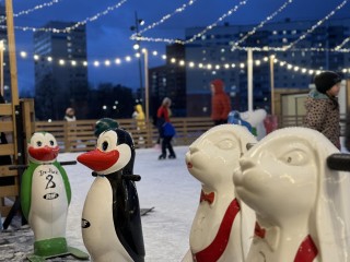 Каток с сюрпризом: что ждет гостей в Видном этой зимой