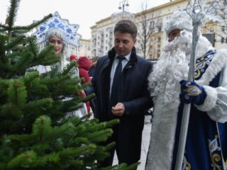 «Нарядная, зеленая и пахнет хвоей»: как продлить жизнь новогодней елке до конца зимних каникул?