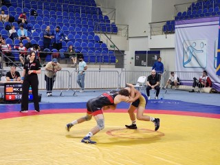 Борцы из Шаховской победили соперников на предновогоднем турнире