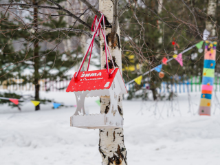 К большой беде: что категорически нельзя делать в Сойкин день 11 декабря