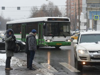Раскрыли, какая «зебра» в Сергиевом Посаде самая опасная, и что грозит пешеходу-нарушителю