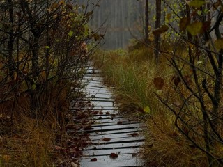 Гороскоп на 22 декабря 2025 для всех знаков Зодиака: у Рыб, Стрельцов и Скорпионов финансовая стабильность, а Овнам, Близнецам и Львам стоит проявить инициативу, чтобы не остаться в одиночестве