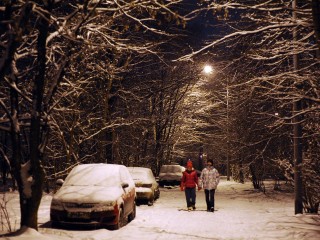 Снежные заторы и задержки рейсов: как долго продлится метель в Подмосковье