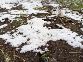 Снега не ждите: синоптики обрушили надежды ружан на русскую зиму