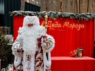 Деда Мороза не будет: когда за фото в ТЦ могут потребовать деньги?