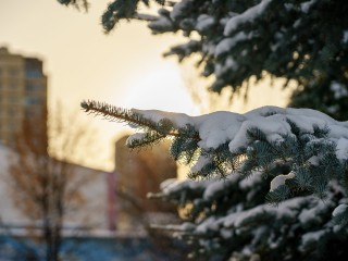 Атрибуты зимы налицо: когда Подмосковье наконец заметет снегом, определил синоптик Вильфанд