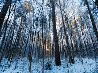 День Александра Невского 6 декабря 2025: что предсказывали по погоде и какие дела считались запретными