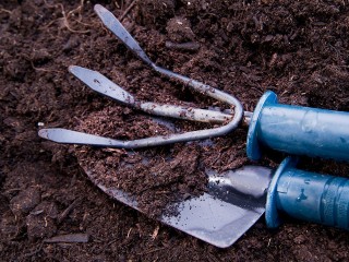 Как ускорить рост перца: три проверенных метода для январской рассады