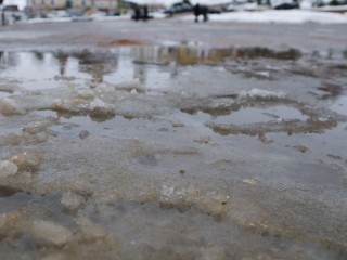 Гидрометцентр назвал точную дату начала потепления в Московской области