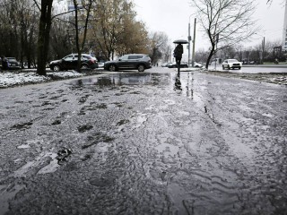 Зима отменяется? Жителей Подмосковья предупредили о мощной оттепели до +9