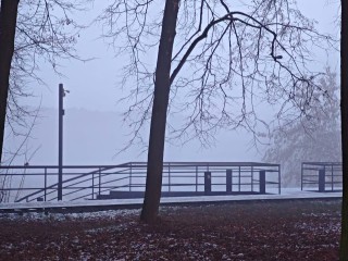 Туман, слякоть и плюс на градуснике — чем «порадует» жителей Подмосковья погода 6 декабря