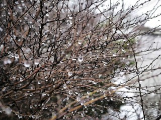 Придут ли с потеплением ледяные дожди в столичный регион: ответ синоптика