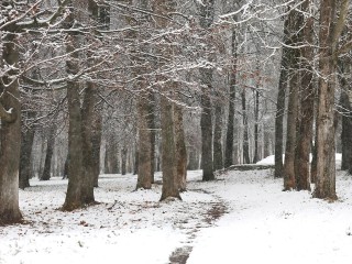 Магнитная буря сегодня, 25 декабря 2025: точный прогноз, сила, влияние на метеочувствительных