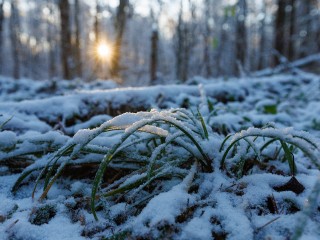 Первые декабрьские морозы и гололедица на дорогах ожидают клинчан на предстоящей неделе
