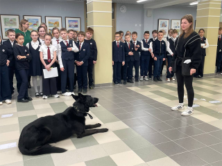 В Физтех-колледже объяснили, как заботливое воспитание формирует у собаки уважение и послушание