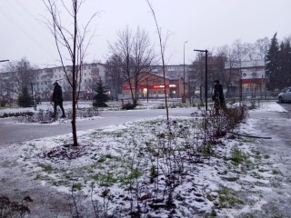 Улицы превратятся в каток: температура в Подмосковье в ночь на 23 декабря резко упадет, и будет жуткий гололед