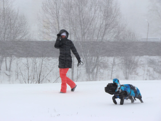Снежная стихия атакует Подмосковье уже через сутки: МЧС предупреждает жителей