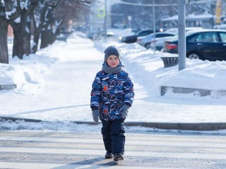 Опасно даже на зебре: омбудсмен Мишонова дала советы по обеспечению безопасности детей на дорогах