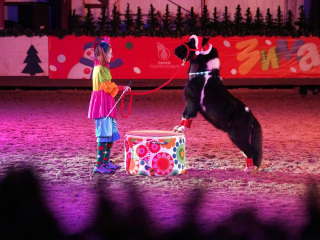 Больше, чем новогодний спектакль: как конное шоу в Котельниках учило дружбе и доброте