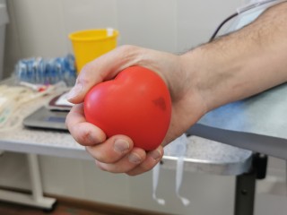 День донора в Истре 17 декабря: кто может сдать кровь и что взять с собой