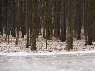 Архитектурный ансамбль под охраной: в селе Ольгово защитили усадьбу работы Кампорези