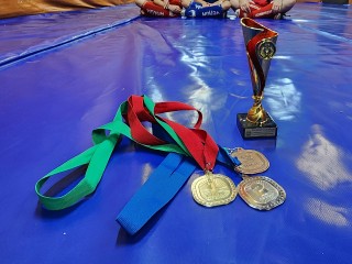 Подтягивания и отжимания: как отличилась команда «Лига Сильнейших» из Серпухова на чемпионате мира