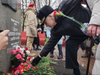 В Истре вспомнили подвиг Босова: как рота тяжелых танков три дня сдерживала врага
