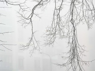 Туман и гололед: МЧС предупредило жителей московского региона о непогоде