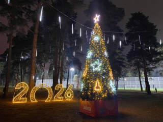 От «Журавлей» до «Белой Дачи»: знаковые места Котельников украсили главную городскую елку