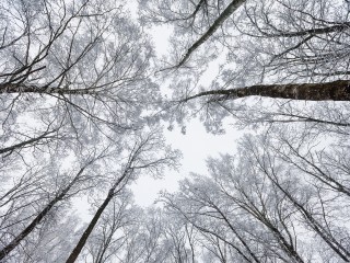 День длиной меньше семи часов: каких традиций принято придерживаться в период зимнего солнцестояния