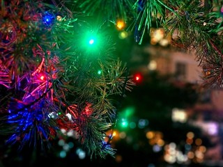 Реутов готовится к праздникам: огни, ёлки и резиденция Деда Мороза ждут жителей