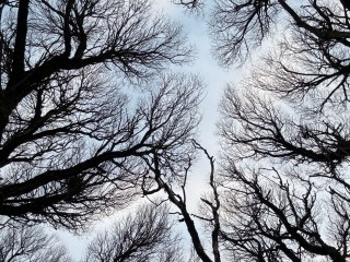 Самый мистический день зимы - Филимонов день: забытые обряды предков на 27 декабря против нечисти и зла