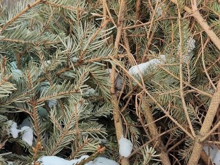 Можно ли ставить елку в подъезде: Минстрой дал разъяснения