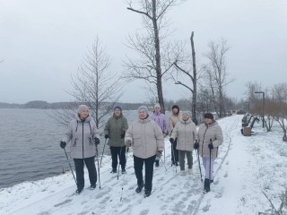 Предновогодний сюрприз: всех желающих приглашают в парк «Солнечный берег» — в мир здоровья и невероятных эмоций!