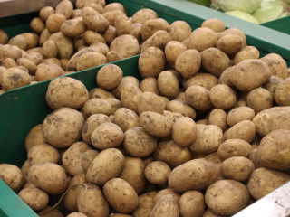 Не только «Синеглазка»: названы лучшие сорта картофеля для дачи