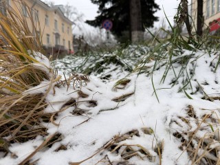 Суровые морозы и гололед: что ждать жителям Подмосковья после неожиданной оттепели 11 декабря