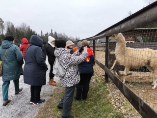 С альпаками, енотами и экзотическими рыбами пообщались волоколамские пенсионеры