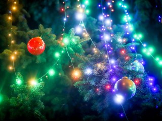 «Включилось новогоднее сердце»: жители Каширы-1 добилась появления главного символа праздника на привычном месте