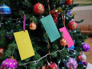 От депутатов до культработников: в Петрово-Дальнем объединяются ради исполнения детских желаний