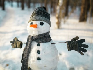 Неожиданный «парад»: Балашиха удивила жителей целой армией снеговиков